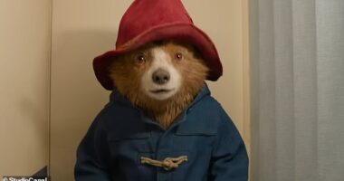 Paddington Bear has been granted a UK passport from the Home Office for his new movie