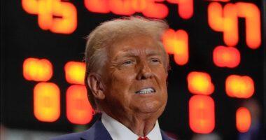 Pageant queen claims Trump groped her in Plaza Hotel suite in 1993