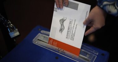 Thousands of fraudulent voter registrations have been found in the critical swing state of Pennsylvania (stock image)