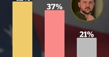 Voters in the critical swing state of Pennsylvania don't share Republican concerns about Volodymyr Zelensky's visit to an ammunition factory in Scranton