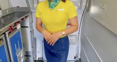 Henny Lim, an air hostess with the Philippines-based airline Cebu Pacific, is known for sharing lesser-known plane details