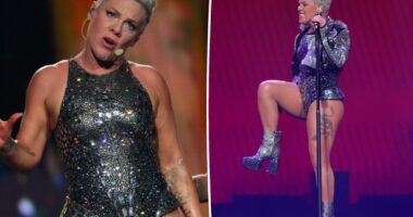 Pink postpones her next four concerts due to mysterious reason