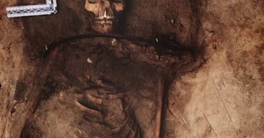 Incredible footage reveals the skeleton of a young woman found buried in rural Poland with a sickle across her neck and a giant padlock on her toe. The remains of the 18-year-old were found in a field outside the small village of Pien, south of the city of Torun in 2022. The find is detailed in Sky History documentary Field of Vampires tonight