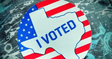 Texas voting sticker