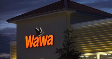 Prayers Up! 32-Year-Old Pregnant Woman, Latoya Davis, Is Reportedly Shot & Killed Outside Of A Wawa In Pennsylvania By Evelena Williams