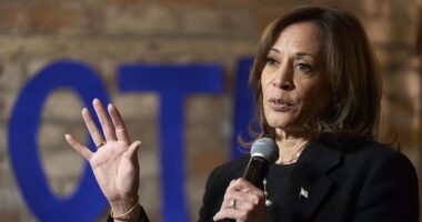 Presidential polls 2024 updates: Harris leads Trump by one point while betting odds have the Republican as favorite