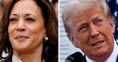 Presidential polls latest: Trump and Kamala Harris head to Michigan in latest fight for the swing state