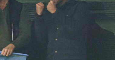 Prince William looked ecstatic as he cheered his beloved Aston Villa to a shock victory against Bayern Munich in the Champions League on Wednesday