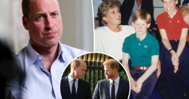 Prince William makes very rare comments about brother Prince Harry amid family rift