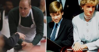 Prince William taking 'inspiration' from late mom Princess Diana, wants to try and end homelessness