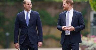 Prince William has publicly named Harry for what is believed to be the first time in six years