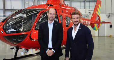 Maverick and Goose have nothing on this pair! The Prince of Wales and former England captain looked sharp in suits (and matching beards)