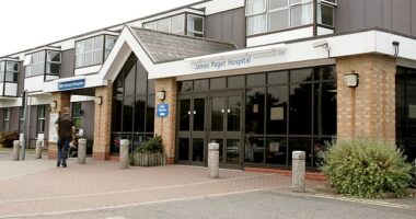 Bosses at the James Paget Hospital in Great Yarmouth, Norfolk, issued advice on 'inclusive language DOs and DON'Ts' to ensure staff used correct LGBT+ terminology