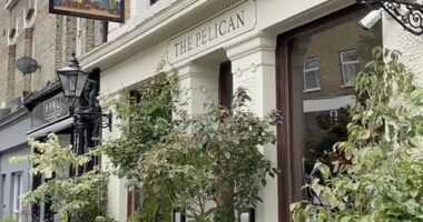 Posh pubs are on the rise in the UK, with taverns ditching basic food for a high-end dining experience (pictured: The Pelican in Notting Hill, London)