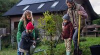 Family tree: Getting all ages involved to plant a sapling for the next generation