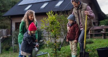 Family tree: Getting all ages involved to plant a sapling for the next generation