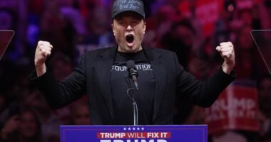 'Put the Hat On, Let's Go!' Elon Had Everyone Cheering at Massive, Madison Square Garden Trump Rally – RedState