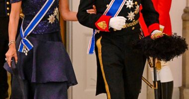 Queen Mary of Denmark (pictured, left) looked stunning in a deep blue gown as she attended a state banquet in Copenhagen with King Frederik (pictured, right) on Tuesday evening