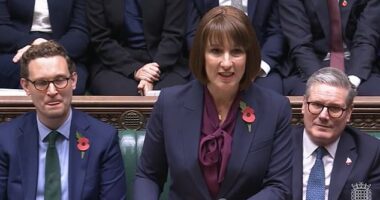 Chancellor Rachel Reeves said the country had 'voted for change' and vowed to 'invest' as she mounts one of the biggest raids in history in the Commons