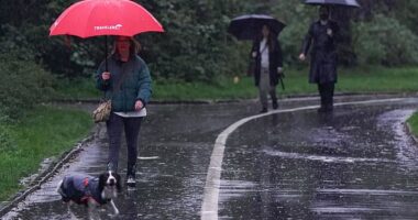 A dog walker holding an umbrella amid torrential rain in Warwick earlier this week