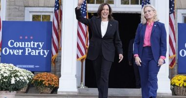 Democratic Vice President Kamala Harris (left) was joined on the campaign trail by former Republican Rep. Liz Cheney (right) who endorsed Harris last month. In her remarks, Cheney went after former President Donald Trump over January 6