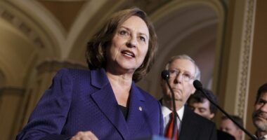 Republicans Might Need to Hit the Panic Button on the Nebraska Senate Race – RedState