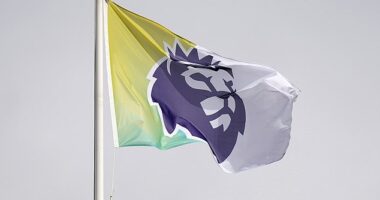 Revealed: The Premier League is the most-watched league across the world, study finds - with SIX top-flight clubs in the top 10 most-followed overseas