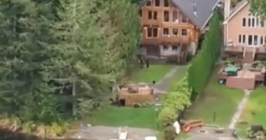 Ritzy Fall City is rocked by murders of parents and three siblings 'by teen boy, 15', at $2m lakeside home