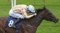 Mail Sport's racing expert Robin Goodfellow delivers his tips for Thursday's meetings