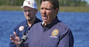 Ron DeSantis Responds Accordingly After Reporter Plays Politics During Hurricane Milton Briefing – RedState