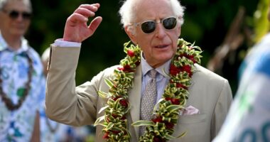 Royal news live: Charles set for full overseas tour as William breaks silence on Harry in Diana tribute