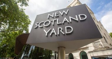 Pictured: the headquarters of the Metropolitan Police, New Scotland Yard