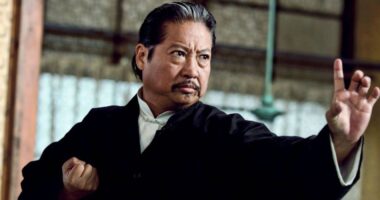 Sammo Hung's 10 Best Martial Arts Movies, Ranked
