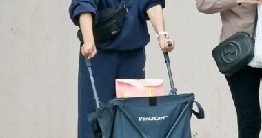 Sarah Michelle Gellar looked cozy as she enjoyed a low key outing in Los Angeles with a pal while gearing up for the Halloween season