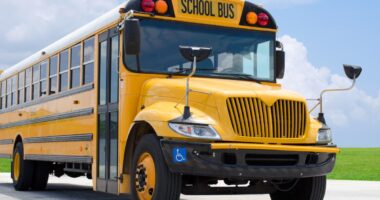 School bus driver loses job for leaving student 4 miles from home after youngster fell asleep