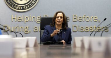 Scott Jennings Drops Facts on Why Kamala Harris' Attack on Ron DeSantis Should Backfire on Her – RedState