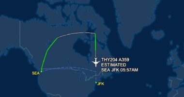 Seattle Flight Emergency Lands in NYC After Pilot Dies Mid-Air.