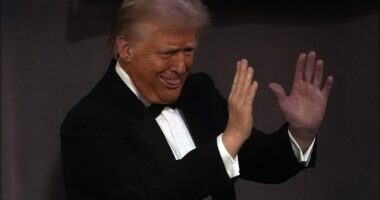 Senate Dem Bets On Trump – HotAir