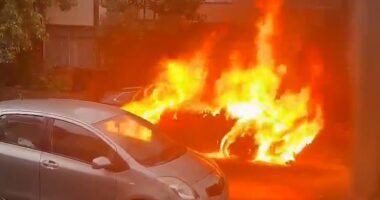 Onlookers watch as the flames completely engulf the electric car