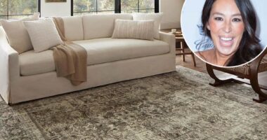 Shop Joanna Gaines' Magnolia rug collab sale for Prime Day