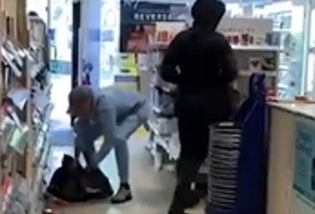 Footage filmed earlier this year shows a group of men brazenly grabbing goods from a Boots store in north London before loading them into bags in front of shocked shoppers (file photo)