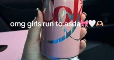 For Diet Coke fanatics, a new limited edition can has hit the shelves and fans can't get enough of it