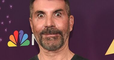 Simon Cowell's ever changing face: Top surgeon reveals what he thinks the music mogul has REALLY had done as he turns 65