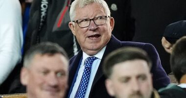 Manchester United supporters tend to cling to Sir Alex Ferguson like tired swimmers cling to rocks