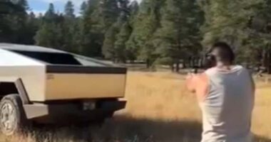In a viral video, porn star Dante Colle - stands in the middle of an open field, pointing a handgun at the back of his $100,000 Tesla Cybertruck