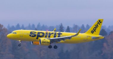 Spirit Airlines Passengers Claim Rat Was Allegedly Crawling On Flight Ceiling