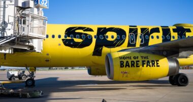 Spirit Airlines announces layoffs, jet sales as it tries to stay afloat