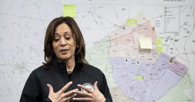 Vice President Kamala Harris speaks to people at an incident command center at Augusta Utilities, following the aftermath of Hurricane Helene, October 2, 2024, in Augusta, Georgia. Progressives around D.C. have said they will pressure her to back left-leaning priorities once the election is over