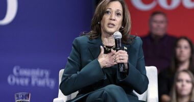 Kamala Harris on the campaign trail in Wisconsin