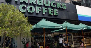 Starbucks’s new CEO has diagnosed its problems. Analysts say the solutions could get expensive.